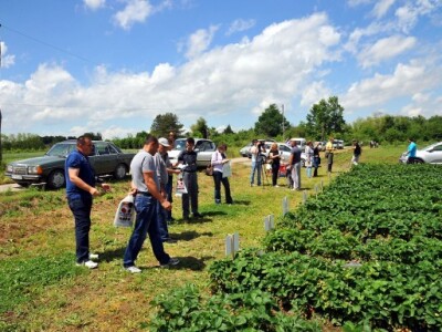 Posetioci &quot;Dana jagoda&quot;
