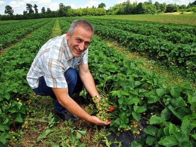 Mile Radisavljević, ATP Irrigation
