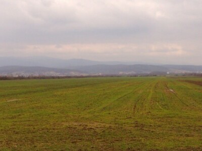 Izgladnjele usjeve treba prehraniti