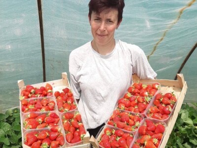 Goca Glišić u berbi jagoda, foto: G. Glišić