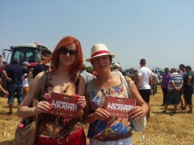 Lepota na banatskim njivama