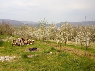 Gojko Pejaković Gojko Pejaković