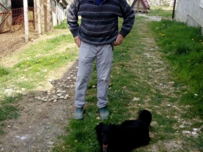 Gojko Pejaković