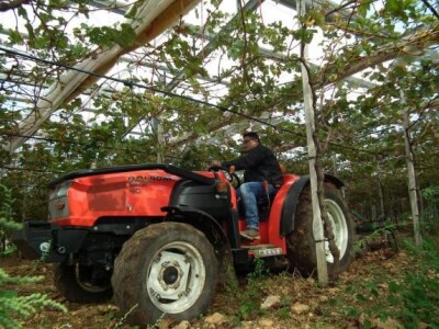 Traktor Goldoni Star 100