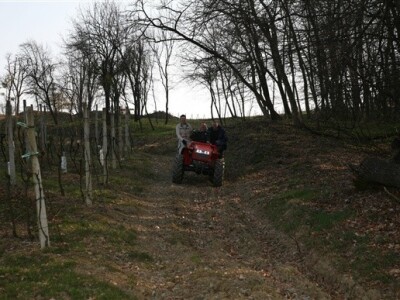 Prezentacija Goldoni traktora