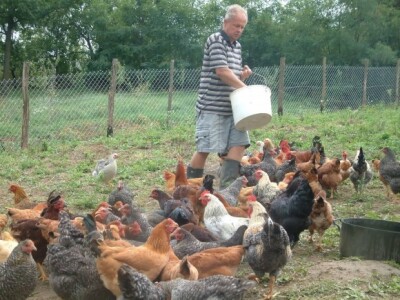 Davor se bavio peradarstvom još kao osnovnoškolac