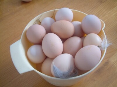 Za potrebe obitelji...