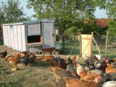 &quot;Hotel&quot; za koke