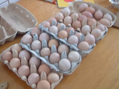 ...ponešto i za prodaju