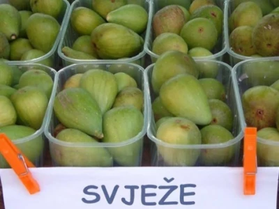 Slavonske smokve