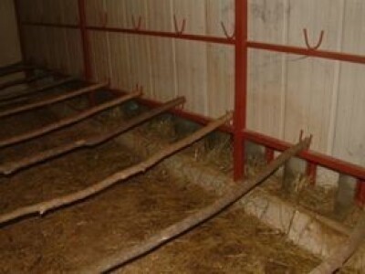 Unutrašnjost peradarnika