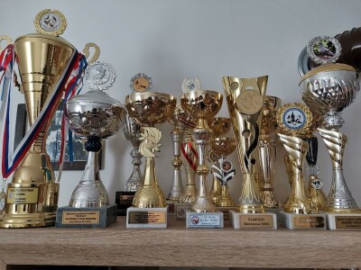 Golubarstvo skup hobi ali pričinjava zadovoljstvo