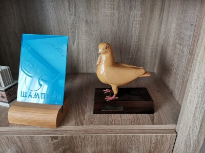 Golubarstvo skup hobi ali pričinjava zadovoljstvo