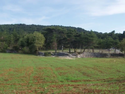"Gora Dalmatina"