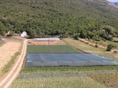 Goran Duka: Kad se opredijeliš  za jednu poljoprivrednu kulturu, ako te izda, te godine nemaš ništa