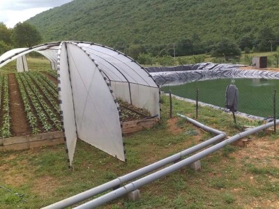 Goran Duka: Kad se opredijeliš  za jednu poljoprivrednu kulturu, ako te izda, te godine nemaš ništa