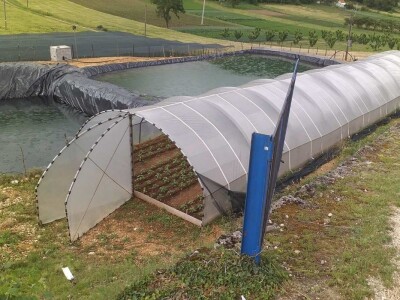 Goran Duka: Kad se opredijeliš  za jednu poljoprivrednu kulturu, ako te izda, te godine nemaš ništa