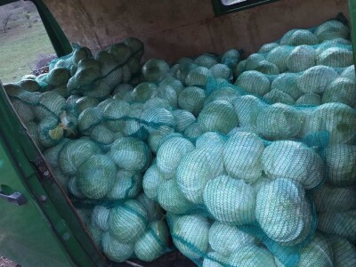 Goran Duka: Kad se opredijeliš  za jednu poljoprivrednu kulturu, ako te izda, te godine nemaš ništa