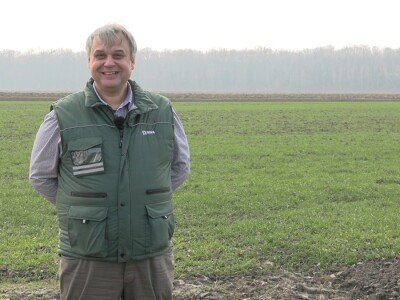 Goran Pravda - kukuruz kokičar