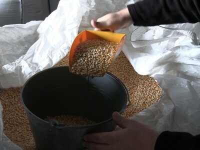 Goran Pravda - kukuruz kokičar