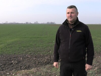 Goran Pravda - kukuruz kokičar