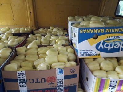 Goran Simić: Mladi poljoprivrednik s 50 plastenika najavljuje širenje proizvodnje