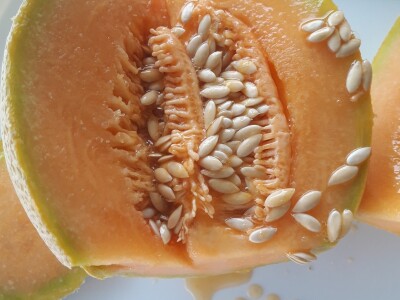 Goran Simić: Mladi poljoprivrednik s 50 plastenika najavljuje širenje proizvodnje