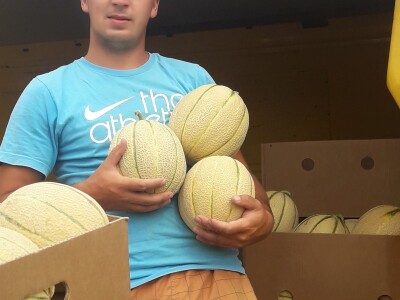 Goran Simić: Mladi poljoprivrednik s 50 plastenika najavljuje širenje proizvodnje