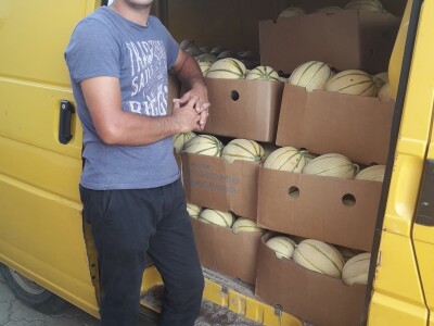 Goran Simić: Mladi poljoprivrednik s 50 plastenika najavljuje širenje proizvodnje