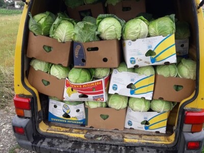 Goran Simić: Mladi poljoprivrednik s 50 plastenika najavljuje širenje proizvodnje