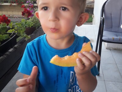 Goran Simić: Mladi poljoprivrednik s 50 plastenika najavljuje širenje proizvodnje