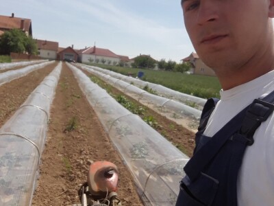 Goran Simić: Mladi poljoprivrednik s 50 plastenika najavljuje širenje proizvodnje