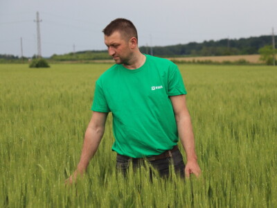 Goran Starčević, Grubišno Polje