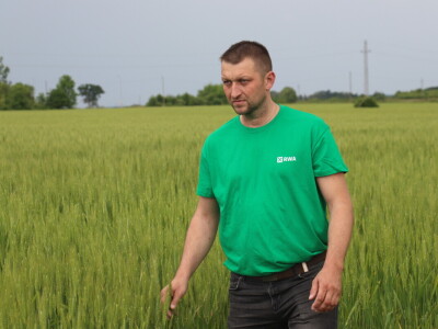 Goran Starčević, Grubišno Polje