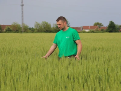 Goran Starčević, Grubišno Polje