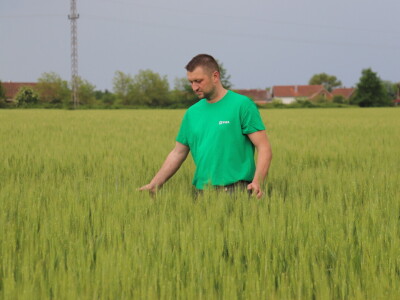 Goran Starčević, Grubišno Polje