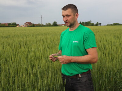 Goran Starčević, Grubišno Polje