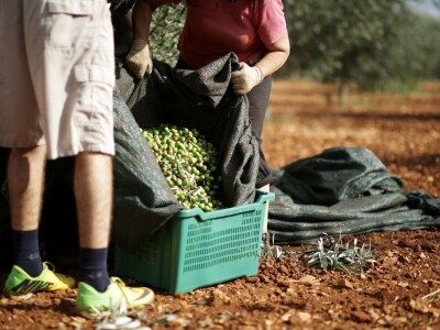 Gordon Ramsay u Hrvatskoj Gordon Ramsay u Hrvatskoj