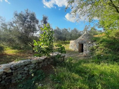 Gordon Ramsay u Hrvatskoj Gordon Ramsay u Hrvatskoj