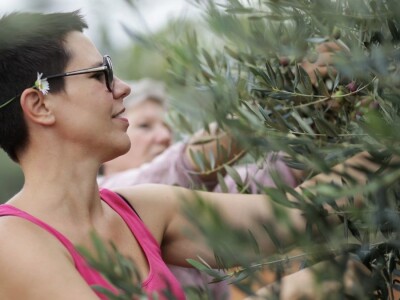 Gordon Ramsay u Hrvatskoj Gordon Ramsay u Hrvatskoj