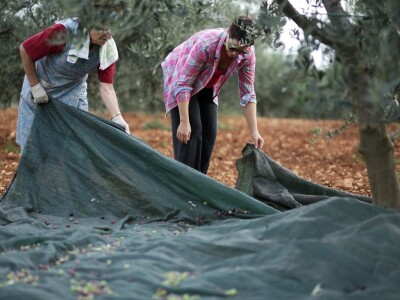 Gordon Ramsay u Hrvatskoj Gordon Ramsay u Hrvatskoj