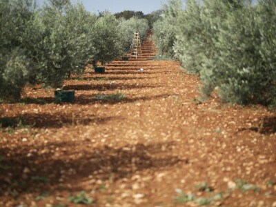 Gordon Ramsay u Hrvatskoj Gordon Ramsay u Hrvatskoj