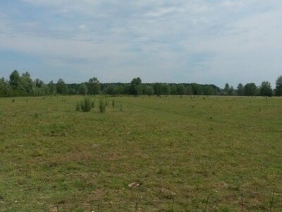 Gornji Varoš - pašnjak Gorana Hrdžića