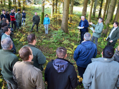 INTERVJU: Oliver Vlainić, predsjednik Hrvatskoga šumarskog društva