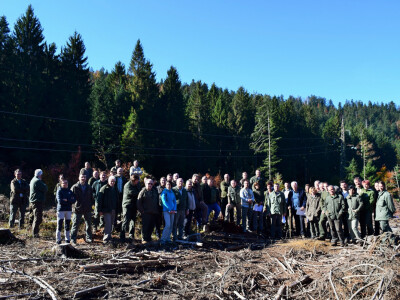 INTERVJU: Oliver Vlainić, predsjednik Hrvatskoga šumarskog društva