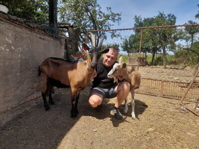 Gospodarstvo Drage Čape