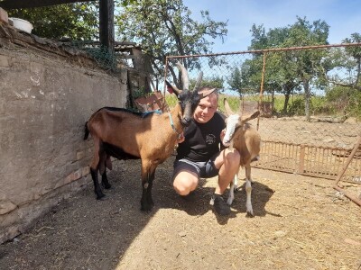 Gospodarstvo Drage Čape