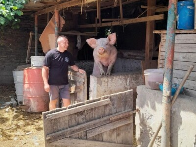 Gospodarstvo Drage Čape