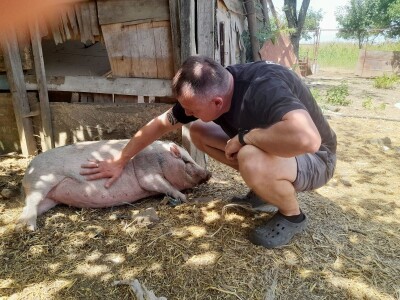 Gospodarstvo Drage Čape