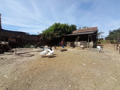 Gospodarstvo Drage Čape